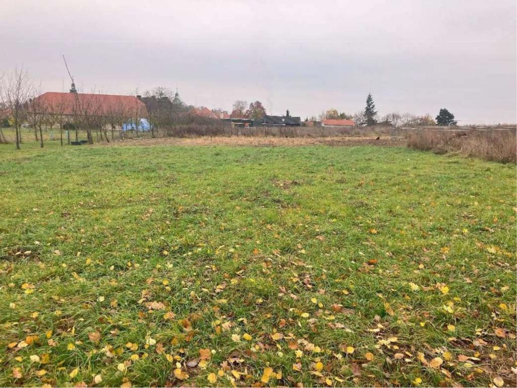 Zahrada v obci Rožďalovice