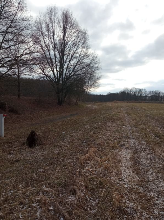 Pozemky u obce Janovice nad Úhlavou