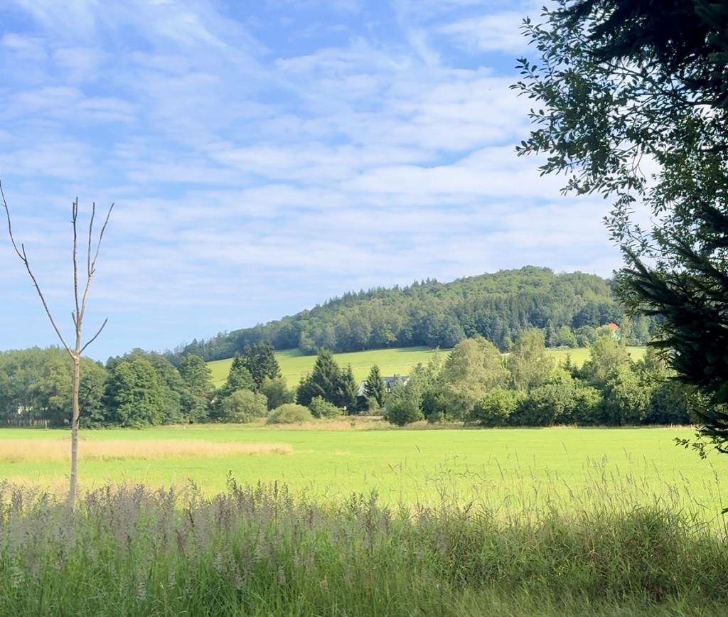 Stavební pozemek, podíl 1/3, Jiříkov, okres Děčín