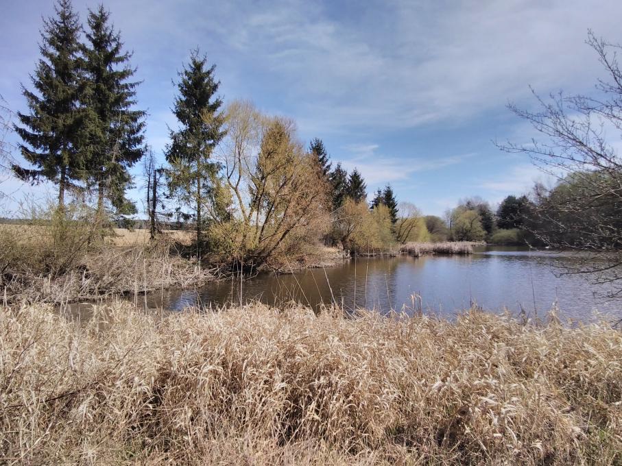Pozemek v obci Holostřevy, okres Tachov