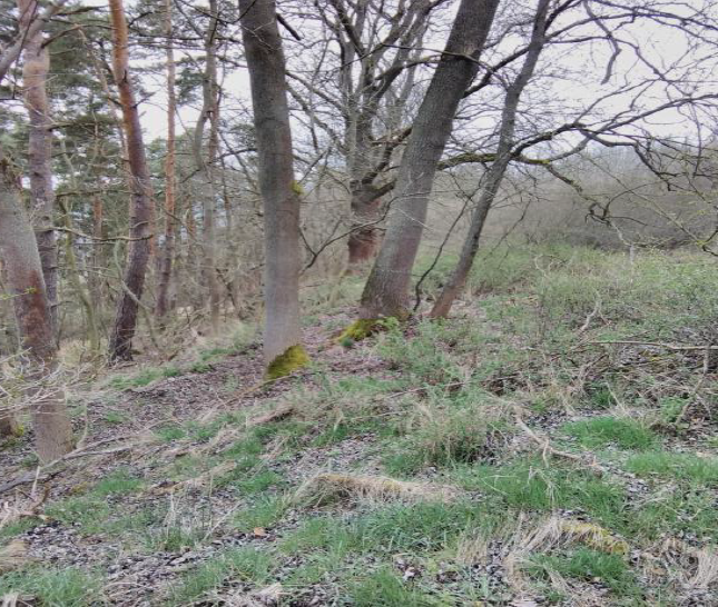 Soubor 21 pozemků v katastrálním území Sušice nad