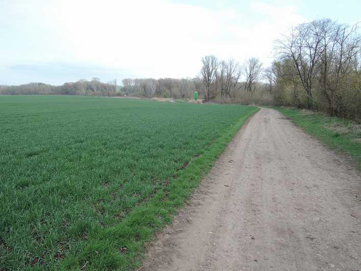 2 zemědělské pozemky 9776 m2 v obci Troskotovice,