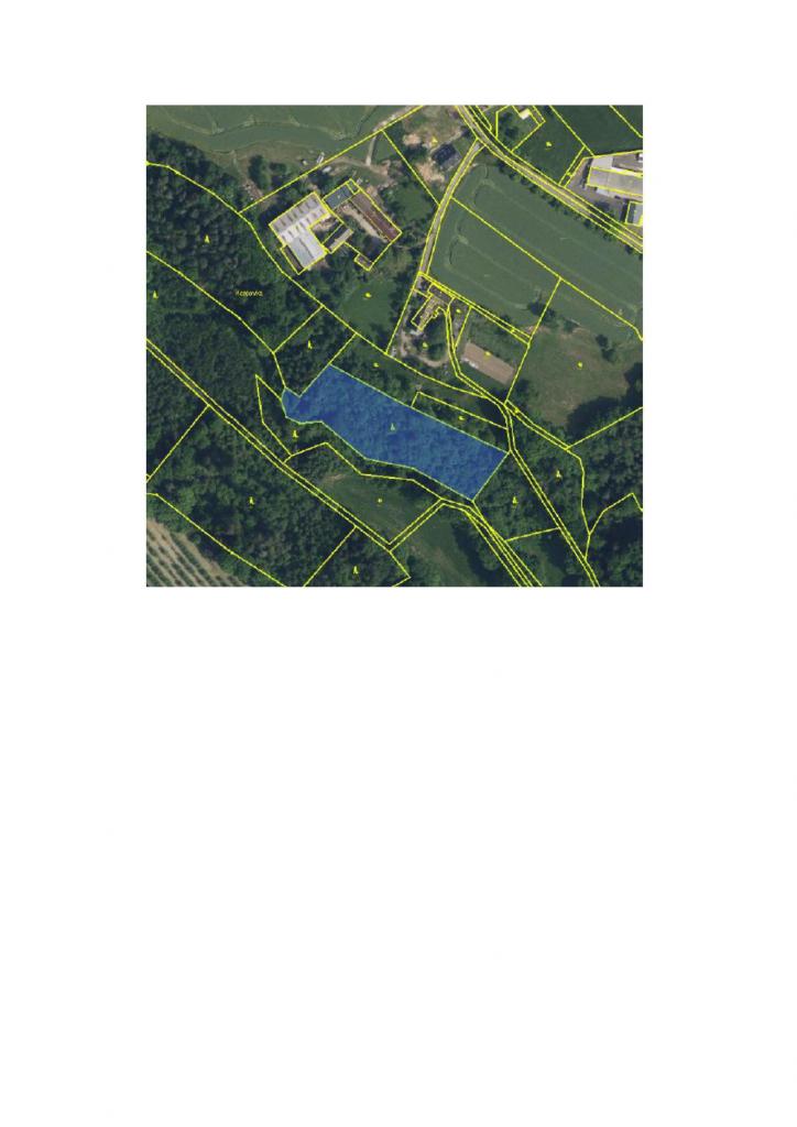 lesní pozemek o výměře 5984 m2 v obci Svijanský