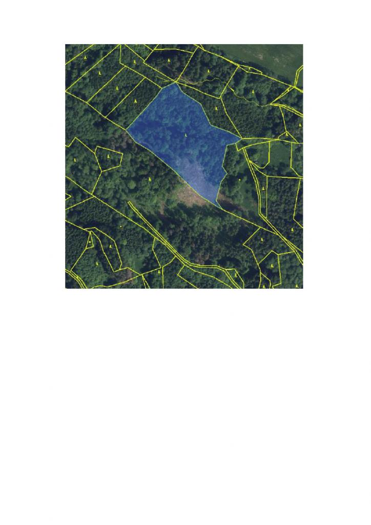 lesní pozemek o výměře 14092 m2 v obci Slaná