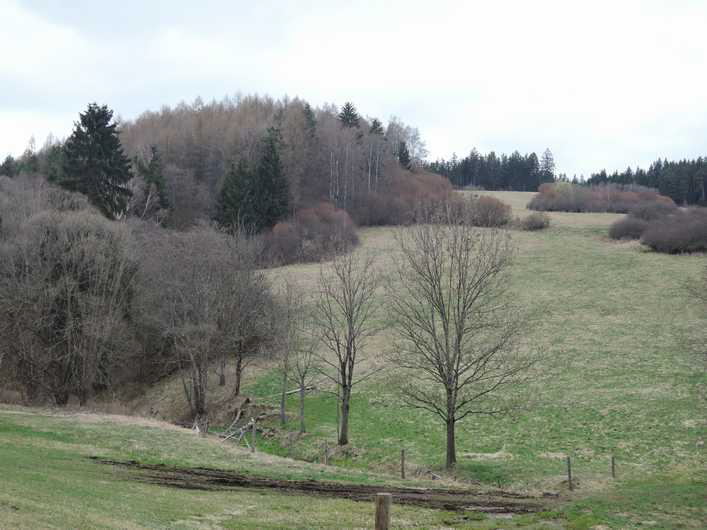 Čtyři pozemky 2751 m2 v obci Dlouhá Ves, okres