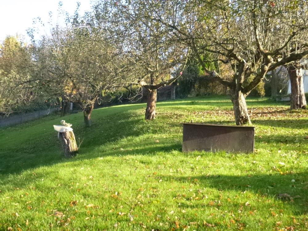 1/6 pozemku (zahrada),k.ú. Rybník u České Třebové,
